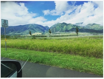 On our drive from Kahului to Makawao